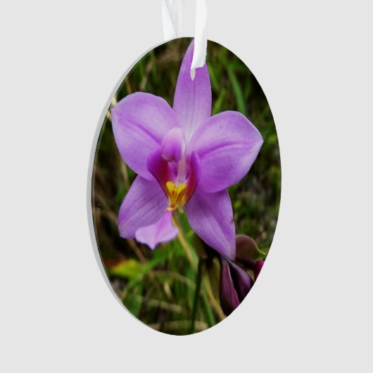 Wild Orchid Paarse Tropische Bloem Ornament (voorkant)