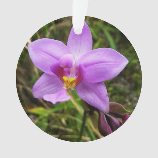 Wild Orchid Paarse Tropische Bloem Ornament (voorkant)