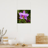 Wild Orchid Paarse Tropische Bloem Poster (Keuken)