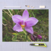 Wild Orchid Paarse Tropische Bloem Tissuepapier (Craft)