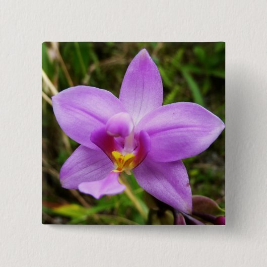 Wild Orchid Paarse Tropische Bloem Vierkante Button 5,1 Cm (Voorkant)