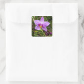 Wild Orchid Paarse Tropische Bloem Vierkante Sticker (Tas)