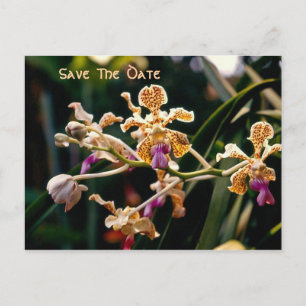 Wild Orchid sparen het Briefkaart van de Datum