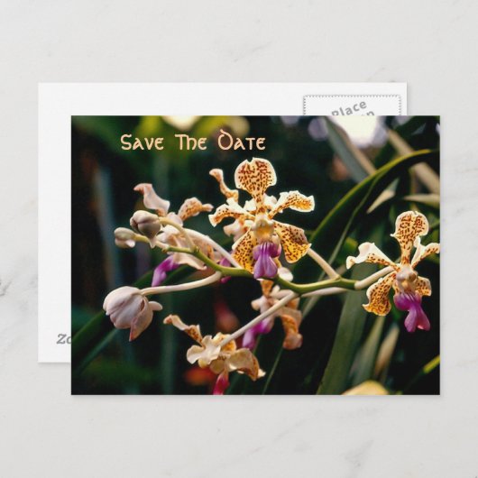 Wild Orchid sparen het Briefkaart van de Datum (Voorkant / Achterkant)