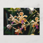 Wild Orchid sparen het Briefkaart van de Datum (Voorkant)