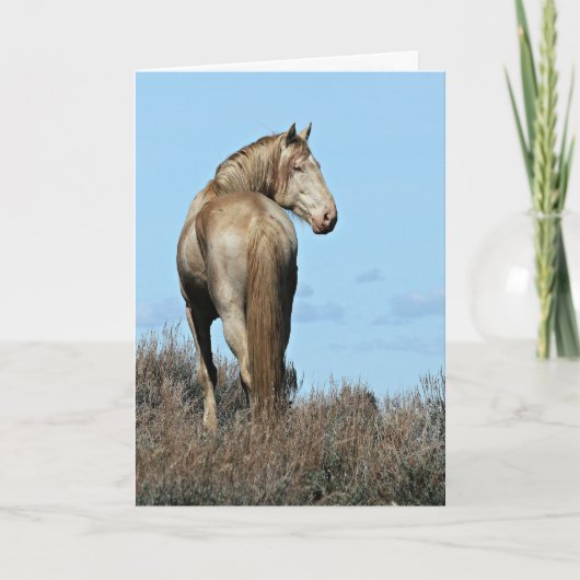 Wild Oregon Mustang Stallion Wenskaart Kaart (Voorkant)