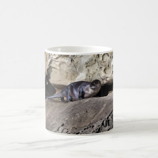 Wild Otter - Mok (Center)