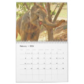 wild over de olifantenkalender kalender (Feb 2026)