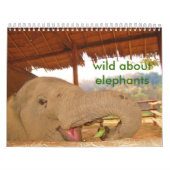 wild over de olifantenkalender kalender (Hoes)