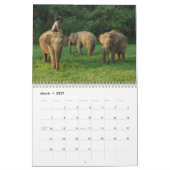 wild over de olifantenkalender kalender (Mar 2027)