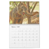wild over de olifantenkalender kalender (Feb 2027)