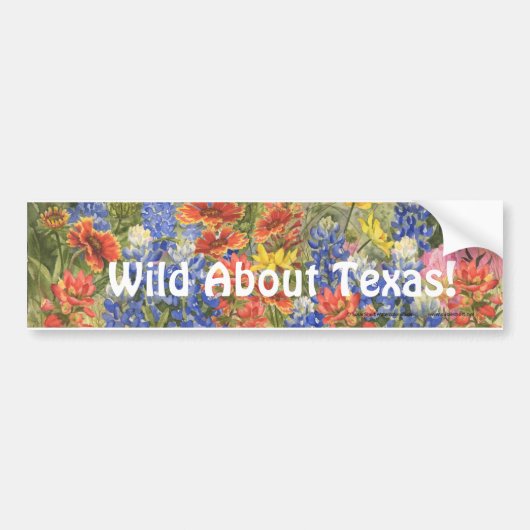 Wild Over Texas. Bumpersticker (Voorkant)