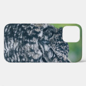 WILD OWL IN DE FRANSE BOEST Case-Mate iPhone CASE (Achterkant (horizontaal))