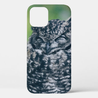 WILD OWL IN DE FRANSE BOEST Case-Mate iPhone CASE