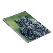 WILD OWL IN DE FRANSE BOEST NOTITIEBOEK (Rechterzijde)
