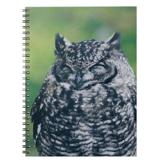 WILD OWL IN DE FRANSE BOEST NOTITIEBOEK (Voorkant)