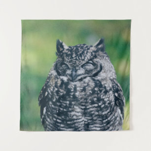 WILD OWL IN DE FRANSE BOEST WANDKLEED