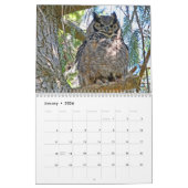 Wild Owls Calendar Kalender (Jan 2026)
