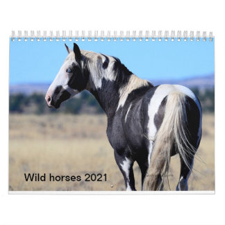 Wild paard 2018 kalander door fotografie door Caro Kalender
