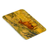 Wild paard asiel. magneet (Rechterzijde)