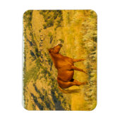 Wild paard asiel. magneet (Verticaal)