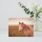  wild paard briefkaart (Staand voorkant)