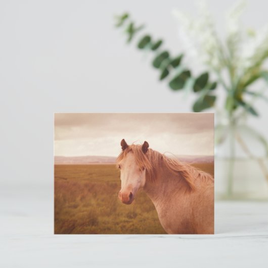  wild paard briefkaart (Staand voorkant)