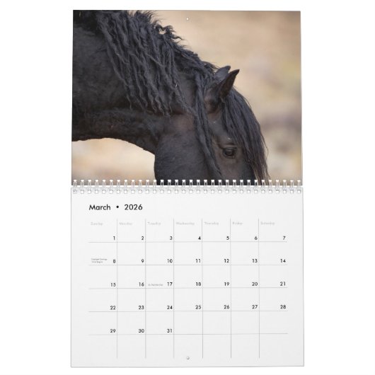 Wild Paard Bubba Kalender (Mar 2026)