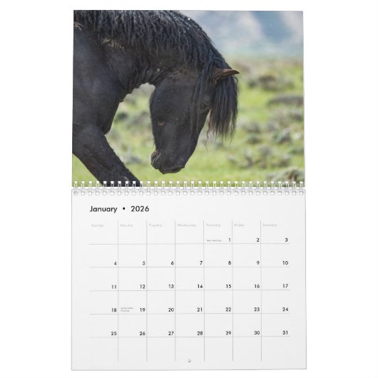 Wild Paard Bubba Kalender (Jan 2026)