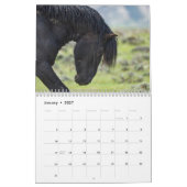 Wild Paard Bubba Kalender (Jan 2027)