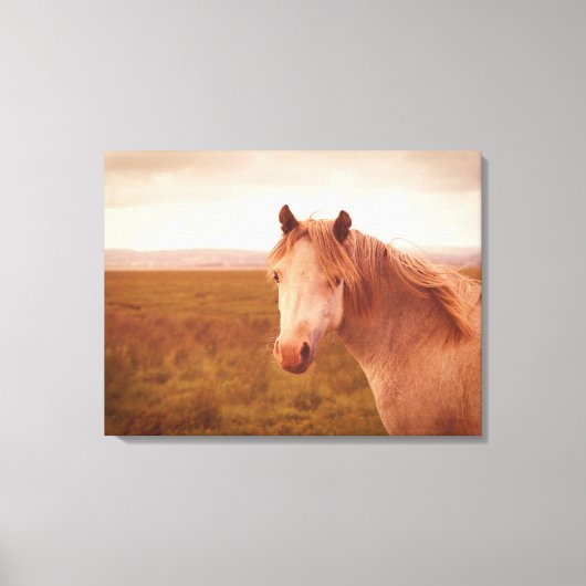 wild paard canvas afdruk (Voorkant)