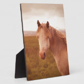 wild paard fotoplaat (Zijkant)