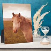 wild paard fotoplaat (Zijkant)