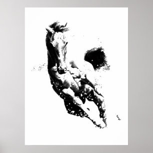 Wild paard in galop - Vrijheid Poster