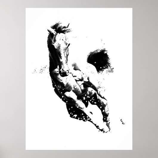 Wild paard in galop - Vrijheid Poster (Voorkant)