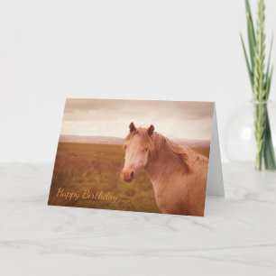 wild paard kaart