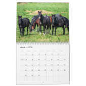 Wild Paard Kalender (Mar 2026)