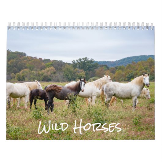 Wild Paard Kalender (Hoes)