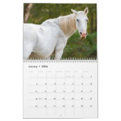 Wild Paard Kalender (Jan 2026)
