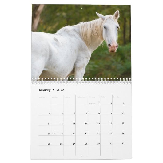 Wild Paard Kalender (Jan 2026)