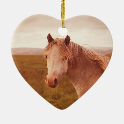  wild paard keramisch ornament (Voorkant)