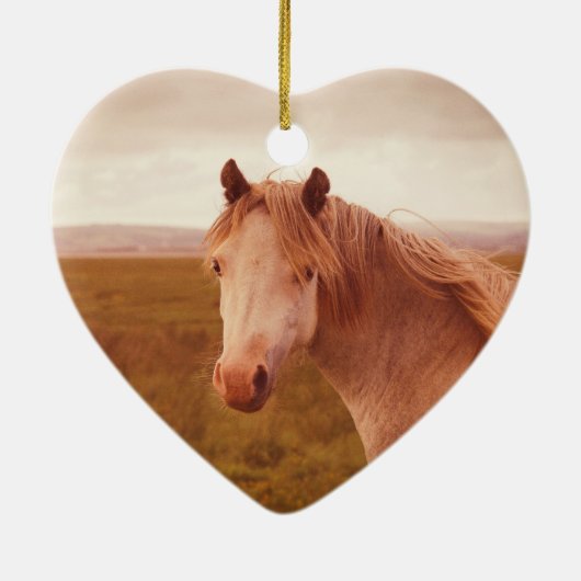  wild paard keramisch ornament (Achterkant)