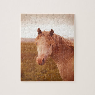 wild paard legpuzzel