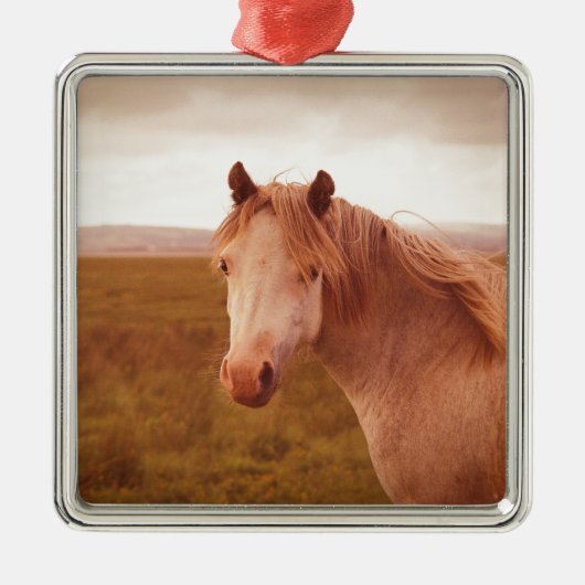  wild paard metalen ornament (Voorkant)