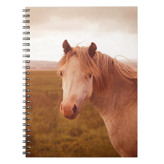  wild paard notitieboek (Voorkant)