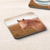 wild paard onderzetter (Linkerzijde)