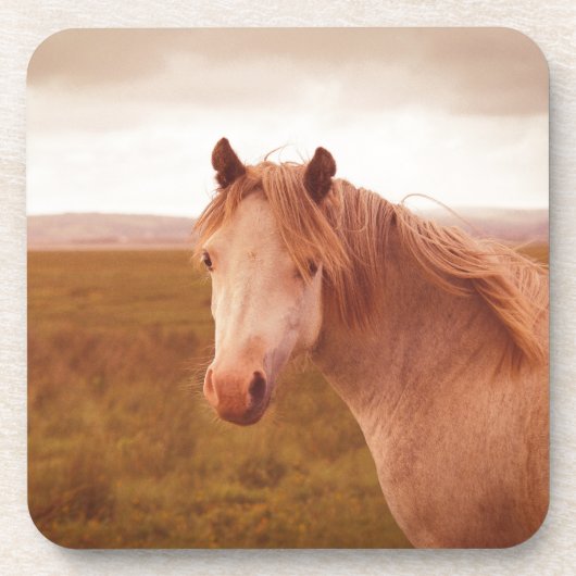 wild paard onderzetter (Voorkant)