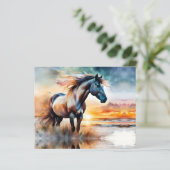 Wild Paard op grasduin bij zonsondergang (Staand voorkant)