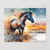 Wild Paard op grasduin bij zonsondergang (Voorkant)