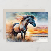 Wild Paard op grasduin bij zonsondergang (Voorkant / Achterkant)